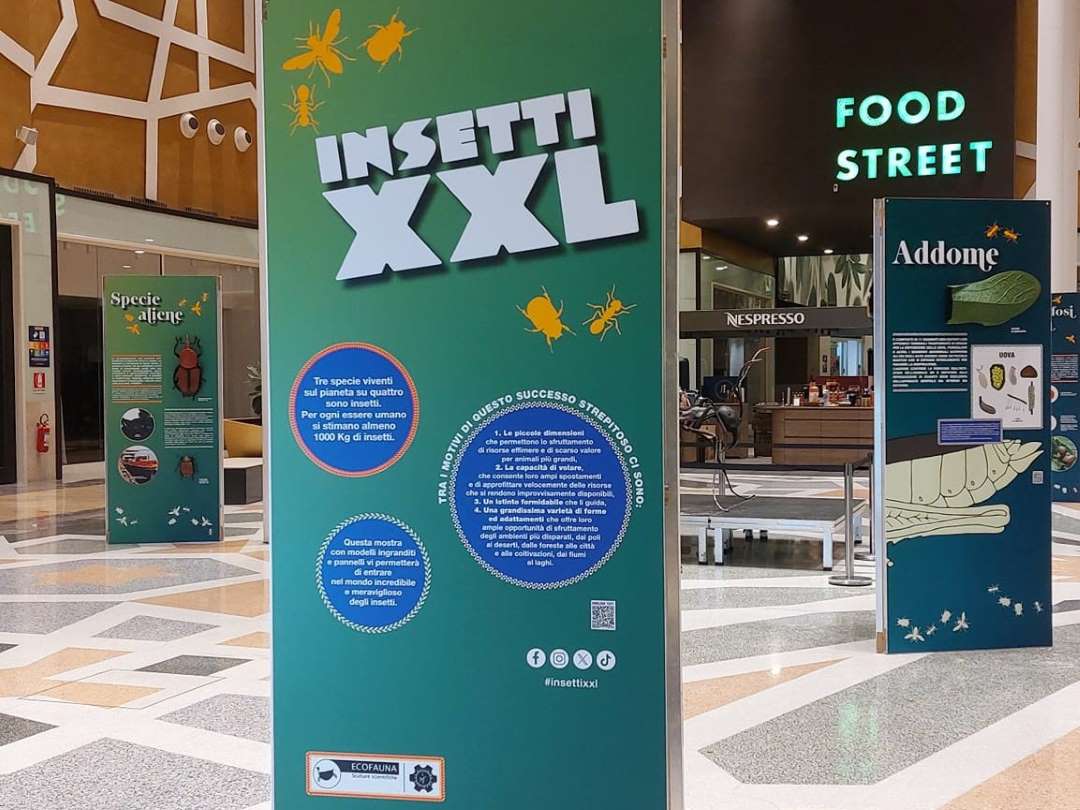 Insetti XXL @Forum Palermo